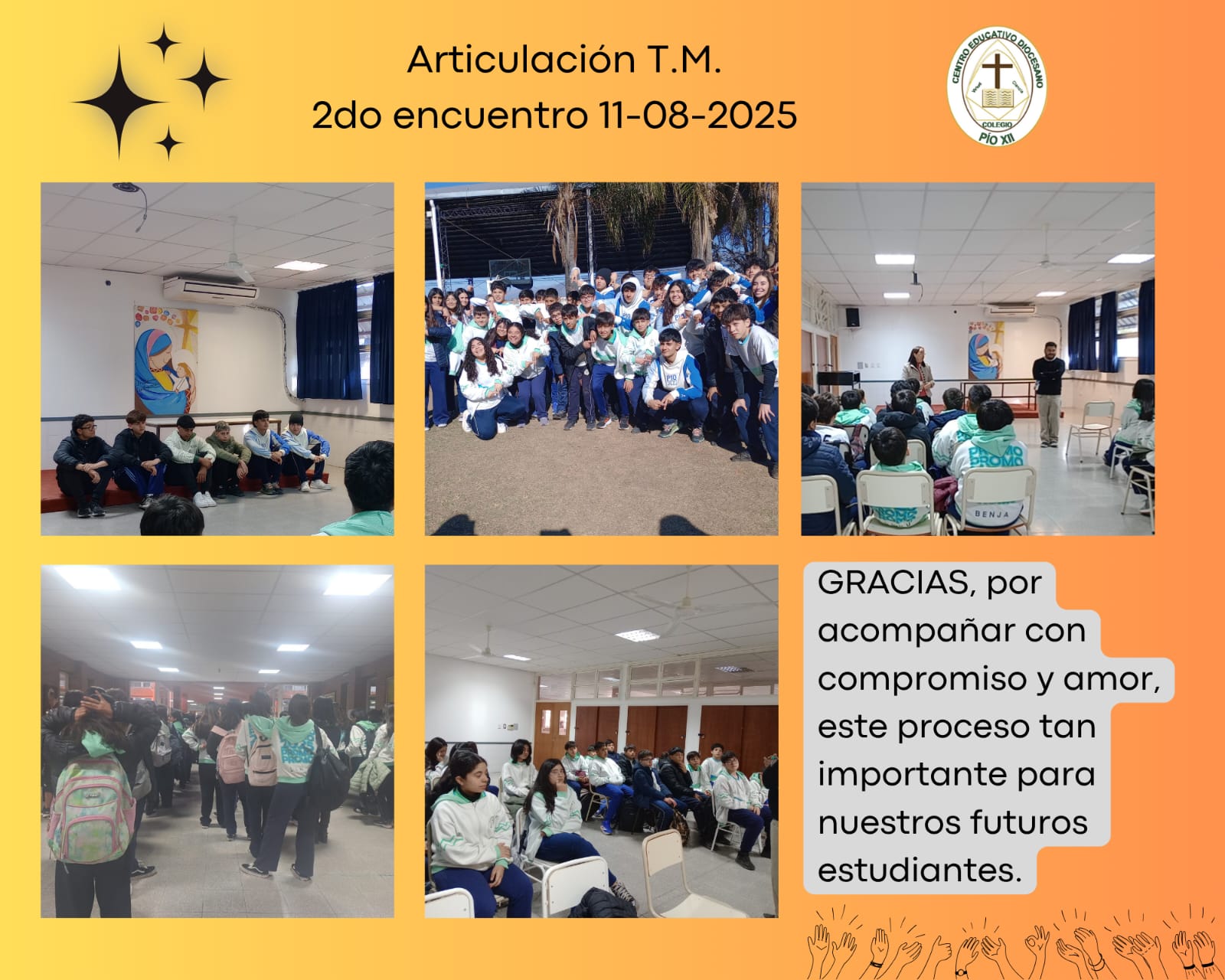 articulacion TM